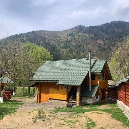 Еко Будинок В Горах Verkhnyaya Bystra Exteriér fotografie